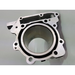 2000 03 Aprilia rsv 1000 tuono1000 cilndro-APR-CYL-002-RiMotoShop