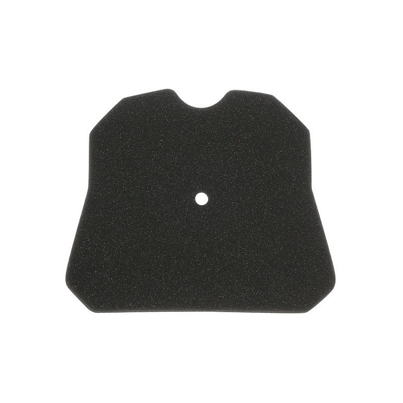 AIR FILTER MEIWA CAGIVA Mito125 Planet Raptor-264653 | RiMotoShop