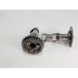 2000 2003 Aprilia rsv 1000 tuono1000 INTAKE + EXHAUST CAMSHAFT higher-AP0220385/4b | RiMotoShop