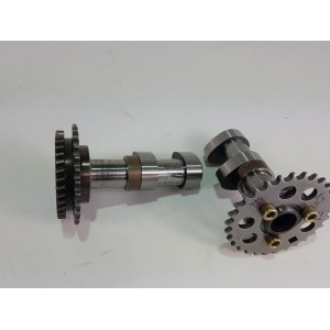 2000 2003 Aprilia rsv 1000 tuono1000 INTAKE + EXHAUST CAMSHAFT higher-AP0220385/4b | RiMotoShop