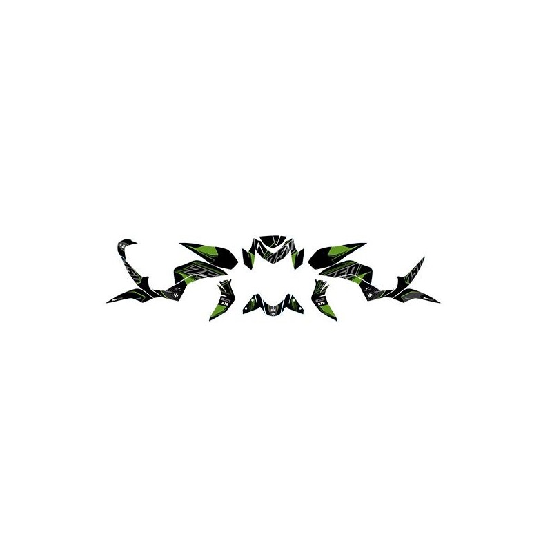 Graphics Kit Stickers 2007 2013 KAWASAKI Z750 BLACK GREEN-501007 | RiMotoShop