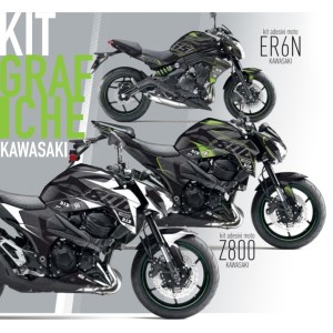 Graphics Kit Stickers 2013 2016 KAWASAKI Z800 BLACK GREEN-501005 | RiMotoShop