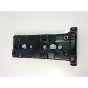 99 2001 YAMAHA YZF R1 couvert tête moteur-YAM-ZFR1-0016 |