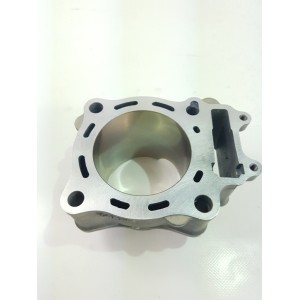 2010 2013 HONDA CRF 250R Cylinder-10HOND-DD4519 | RiMotoShop
