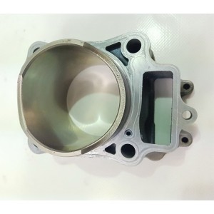 2010 2013 HONDA CRF 250R Cylinder-10HOND-DD4519 | RiMotoShop