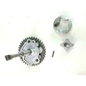 04 05 kawasaki zx10r pompa olio-AL7-4072.6DC | RiMotoShop