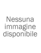 Ducati Monster 900