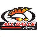 All Balls ricambi moto